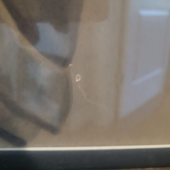 Vintage or Antique Portrait of a women muted pallet in ornate frame & Matted - Picture 12 of 16